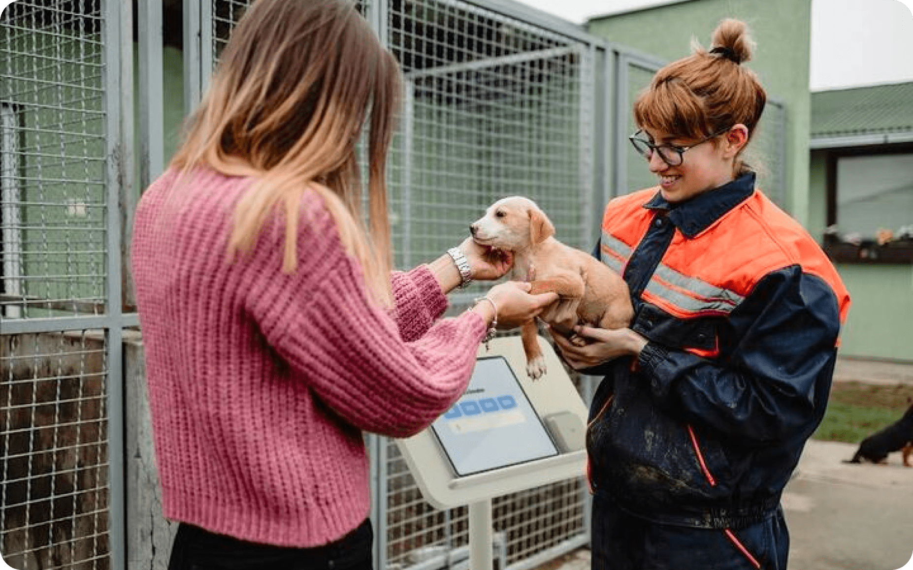 Where animal lovers are moved